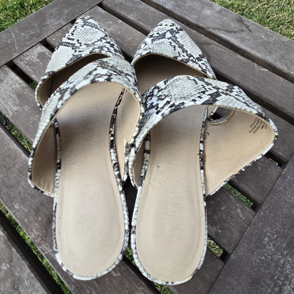 Coconuts by MATISSE Shay Snake Print Pointed Mules 9 - Picture 3 of 7